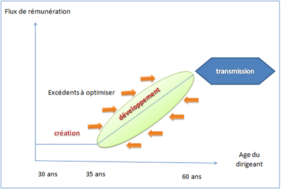 rémunération du dirigeant : cycle de rémunération